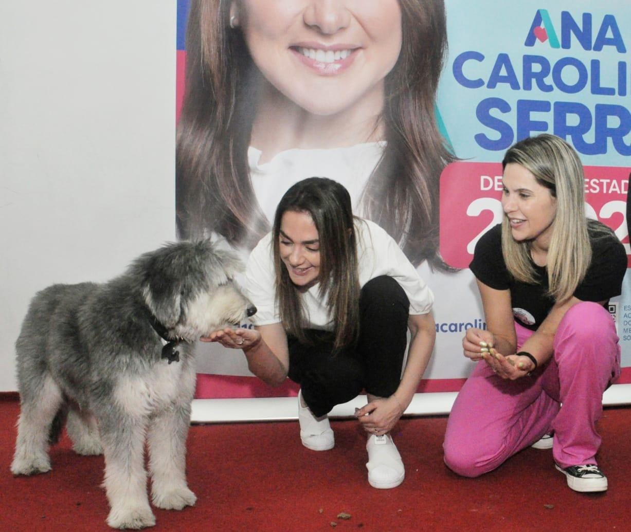 Ana Carolina Serra defende políticas públicas para Pets