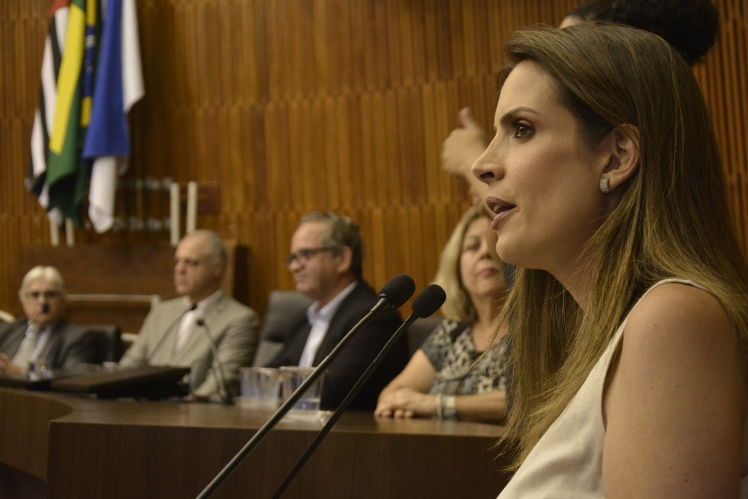 Vereadora Dra. Ana Veterinária faz balanço do ano legislativo