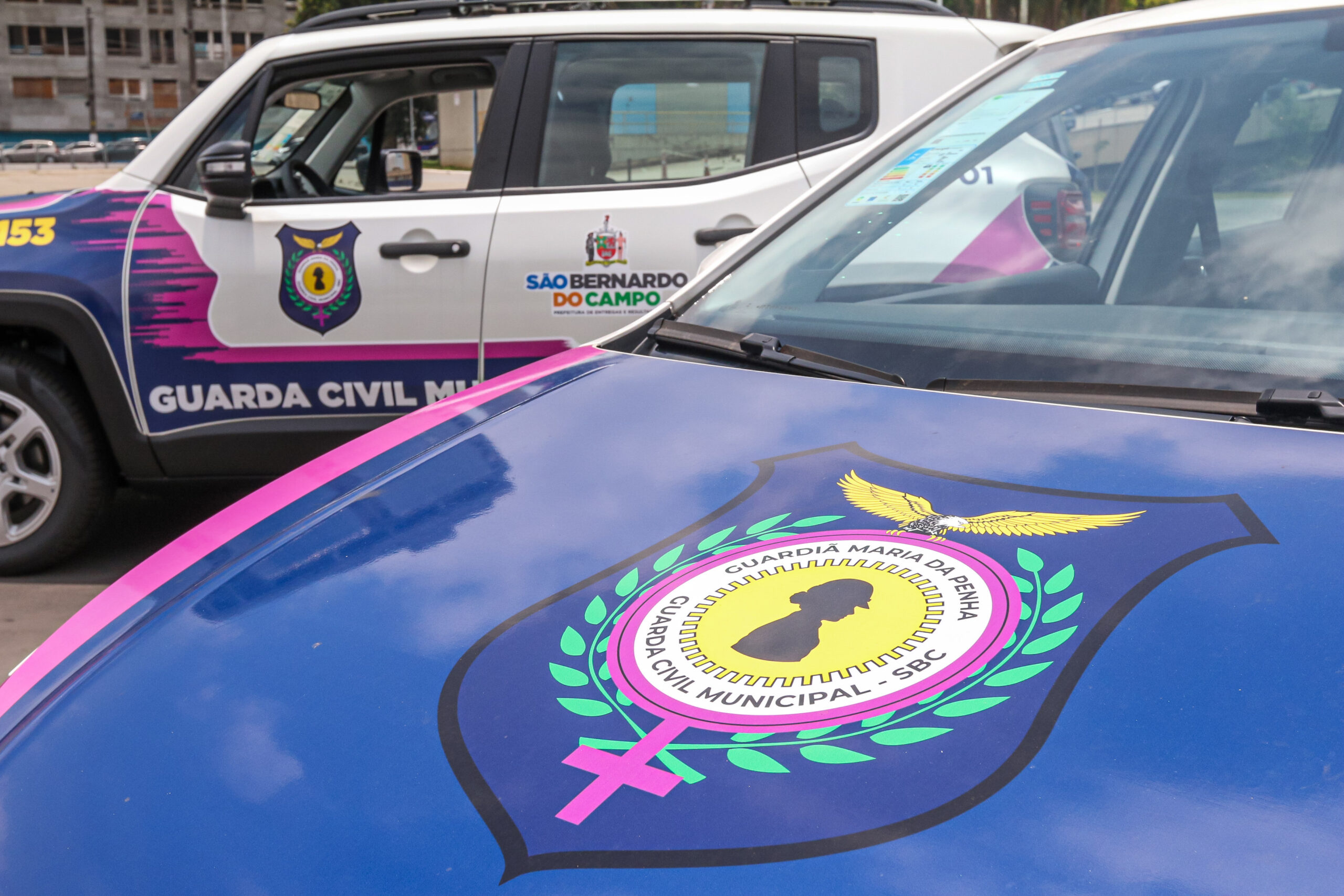 Programa Guardiã Maria da Penha da GCM de São Bernardo prende nove agressores em 2023