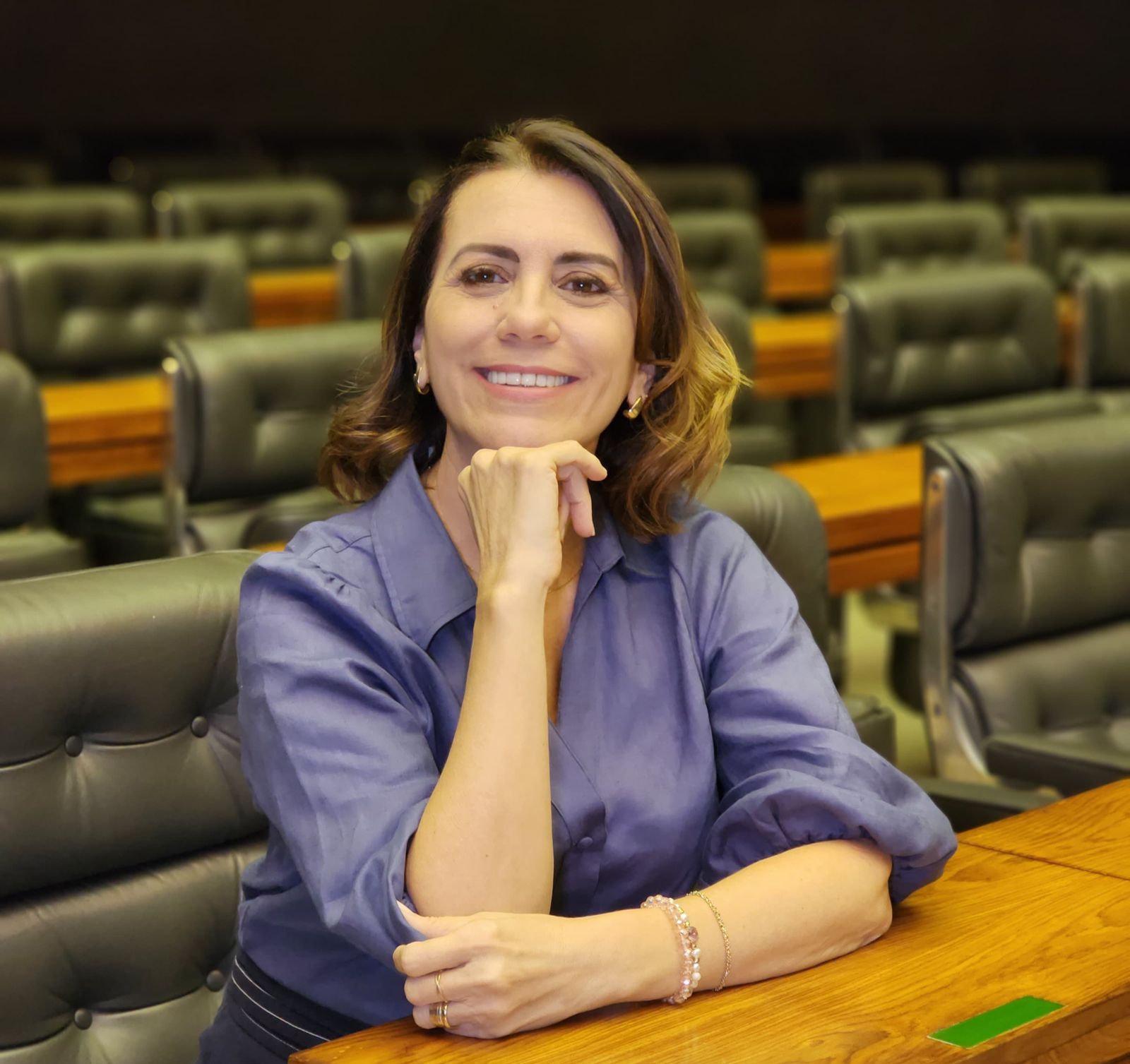 Rosana Valle é a deputada da Baixada Santista mais presente em sessões no Congresso Nacional em 2023 