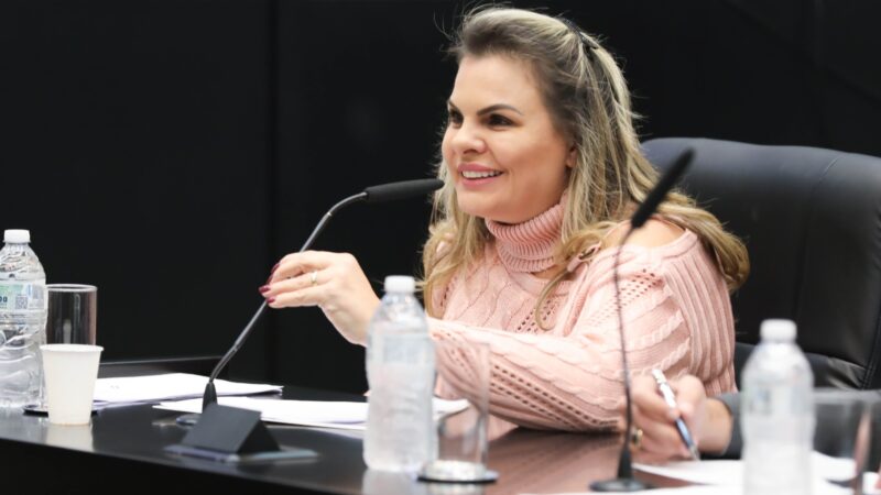 Projeto da Deputada Carla Morando que incentiva o uso da energia solar é aprovado na Comissão de Infraestrutura