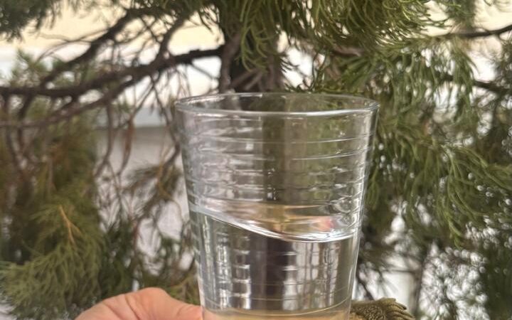 Água: o cuidado diário que sustenta a vida